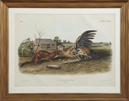 After John James Audubon (American, 1785-1851): After John James Audubon (American, 1785-1851) and John Woodhouse Audubon (American, 1818-1862) "Annulated Marmot Squirrel", Plate LXXIX, No. 16 and "Tawny Weasel", Plate CXLVII, No. 30, two Bowen Imp