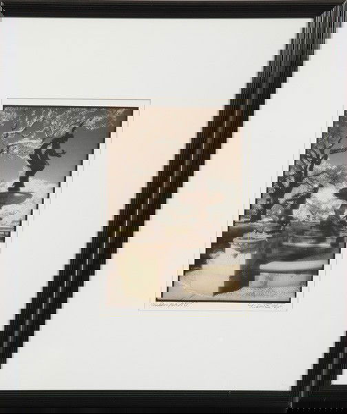 David B. Nicolay (American/Louisiana): David B. Nicolay (American/Louisiana, 20th Century) "Audubon Park, New Orleans", color digital print, signed in pencil lower right, titled in pencil lower left, sight 13" x 8-3/4". Glazed, matted and