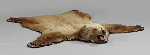 Taxidermy-Mounted Grizzly Bear Rug,: Taxidermy-Mounted Grizzly Bear Rug, a full, life-size Alaskan grizzly bear presented with full open mouth bearing teeth and claws, mounted on a double felt two-tone backing, 80" x 88". This is an "A" 