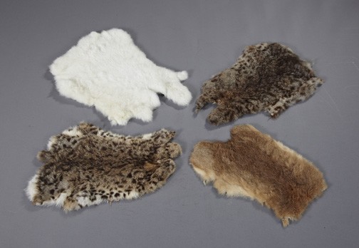 Group of Four Small Animal Pelts,: Group of Four Small Animal Pelts, now designed as doilies, the largest w. 15", l. 21".