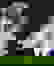 item-1655154=2