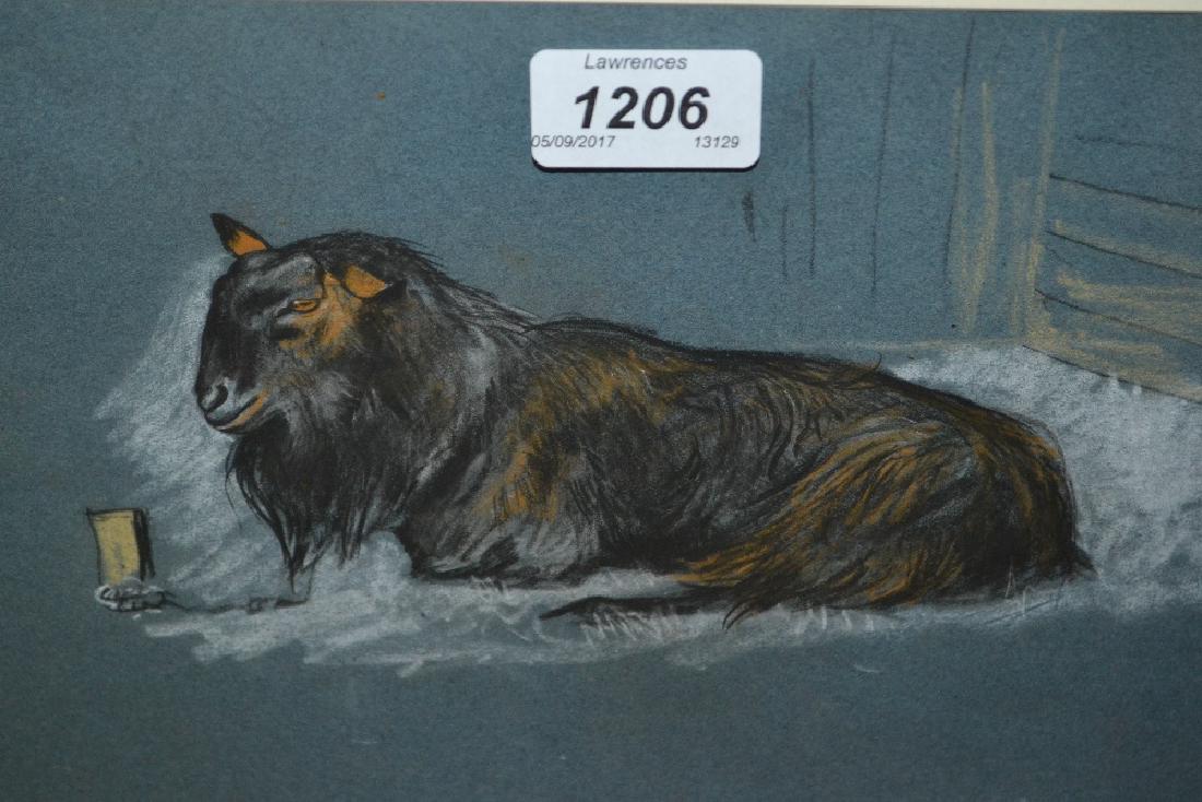 Arthur Wardle, pastel chalk and charcoal, study of a: Arthur Wardle, pastel chalk and charcoal, study of a goat, provenance, Sotheby's Studio Sale, 12.75ins x 8.75ins