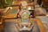 19th Century French mantel clock in ornate spelter case