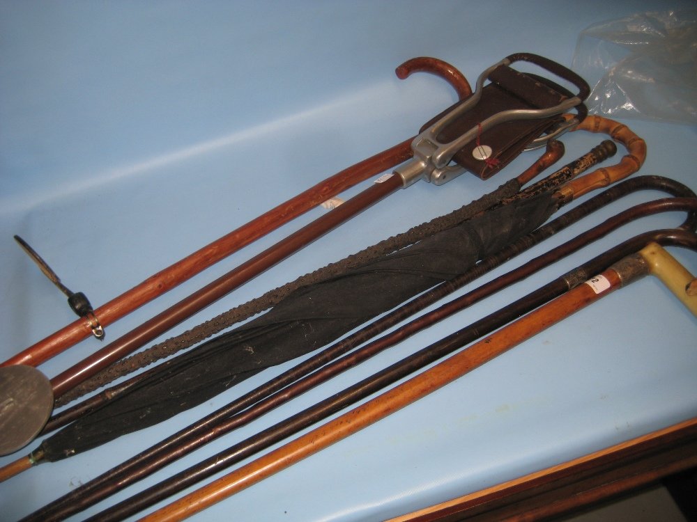 Small quantity of various silver collared walking (1 of 1)