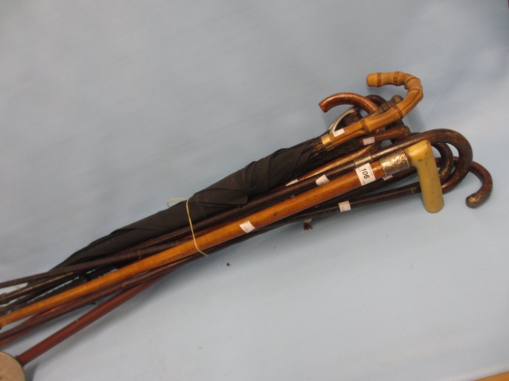 Small quantity of various silver collared walking (1 of 1)