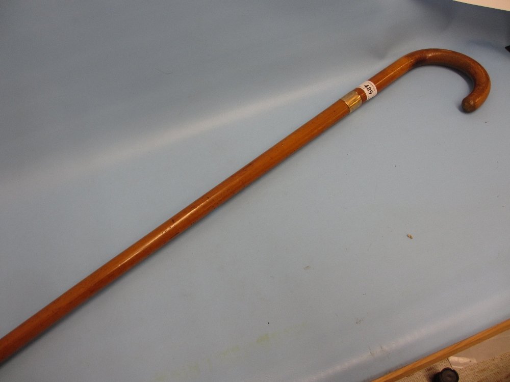 Malacca walking stick with 9ct gold mount (1 of 1)