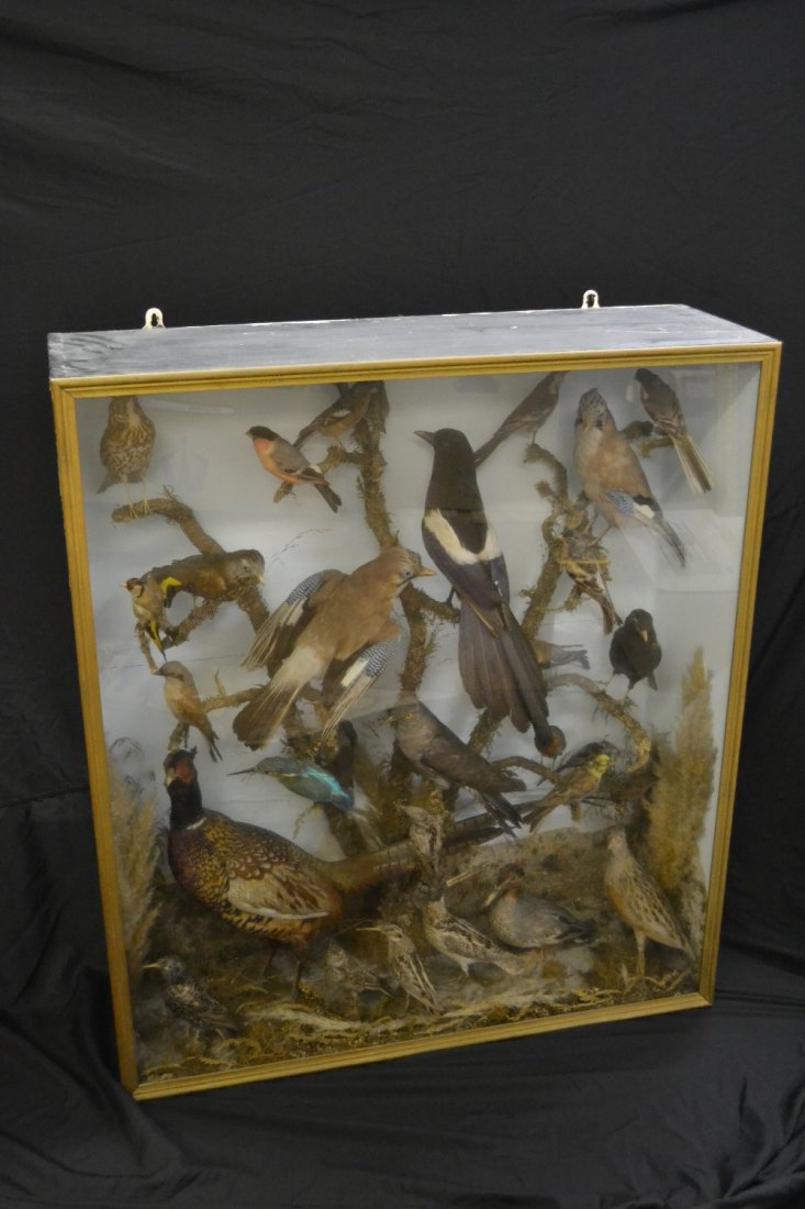 Cabinet containing an extensive collection of English (1 of 2)