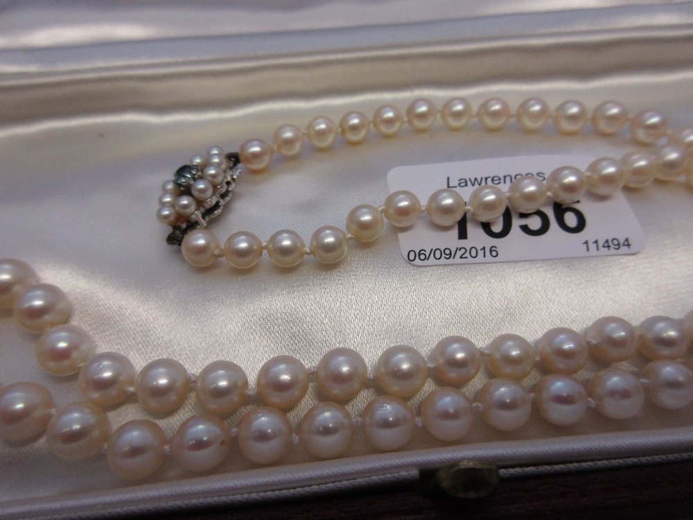 Single row uniform cultured pearl necklace with a 9ct (1 of 1)