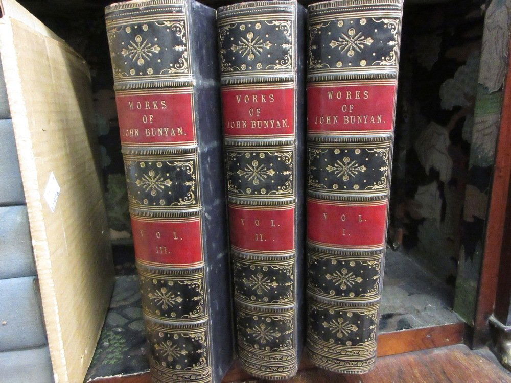 Three 19th Century part leather bound volumes, ' The (1 of 1)