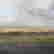 item-131881565=2