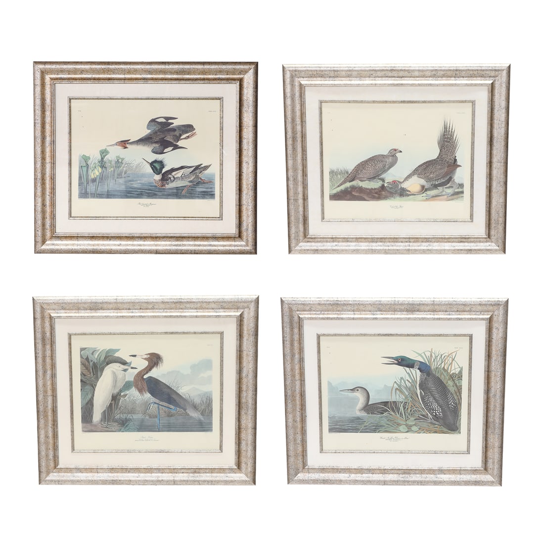 Collection of Vintage Framed J.J. Audubon Prints, Four Total (1 of 20)