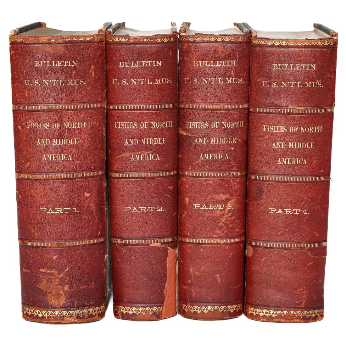 Group of Leather Bound Books, Four Total, Fishes of North and Middle America: Group of Leather Bound Books, Four Total, Fishes of North and Middle America: A Descriptive Catalog of the Species of Fish-Like Vertebrates Found in the Waters of North America, North of the Isthmus o