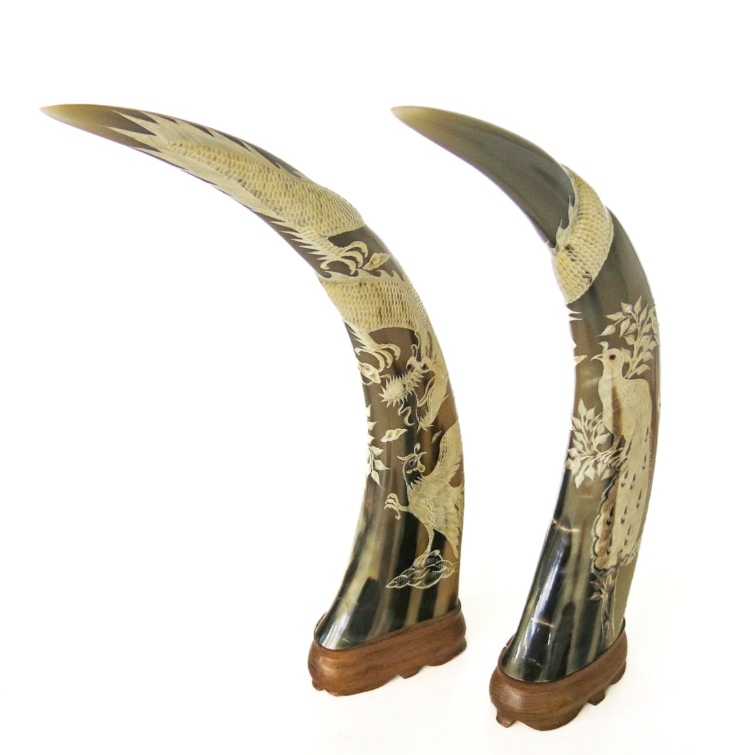Engraved Water Buffalo Horns, Pair (1 of 8)