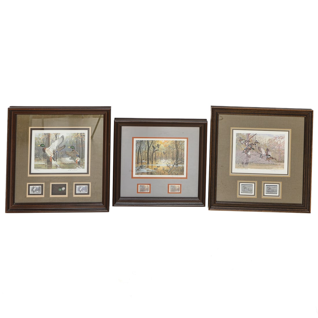 Arkansas Framed Mallard Prints and Companion Stamps, Three Total (1 of 8)