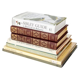 Group of Audubon and Bird Books, Seven Total