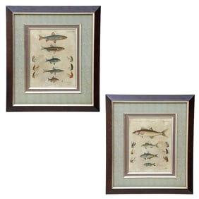 Uttermost and Company Framed Fish Prints, Companion Pair