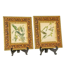Framed Bird Prints, Companion Pair