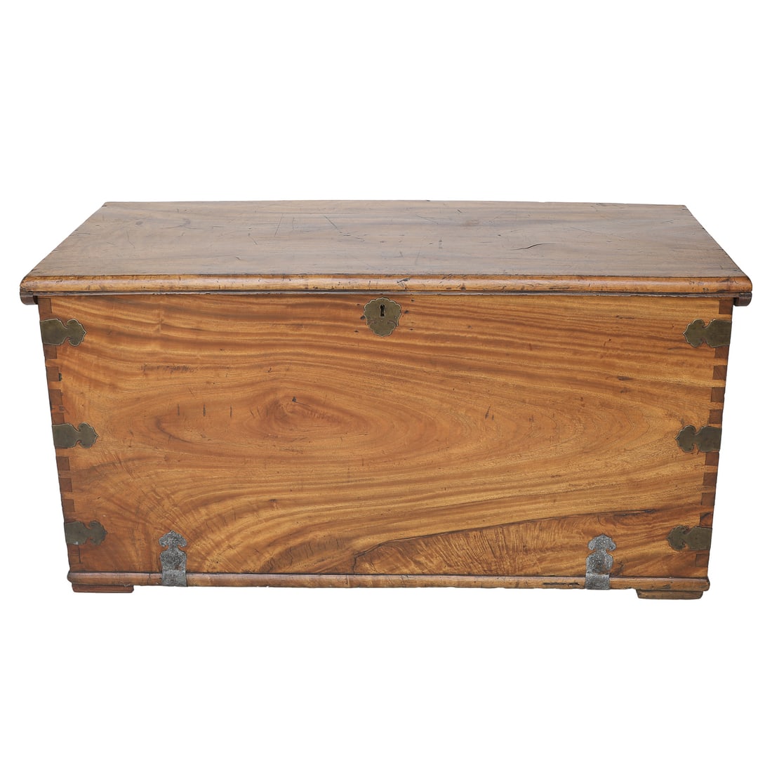 19th C. English Eucalyptus Wood Trunk (1 of 4)