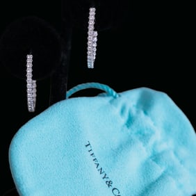 Tiffany and Co.18K White Gold Natural Diamond Metra Hinge Hoop Earrings