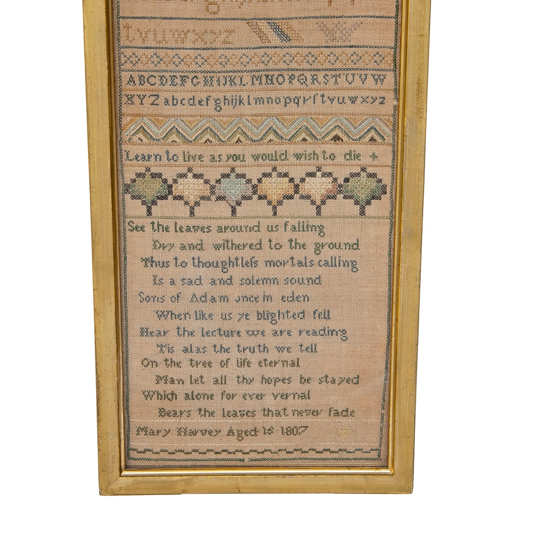 Early 19th C. Framed Needlepoint Sampler - 3