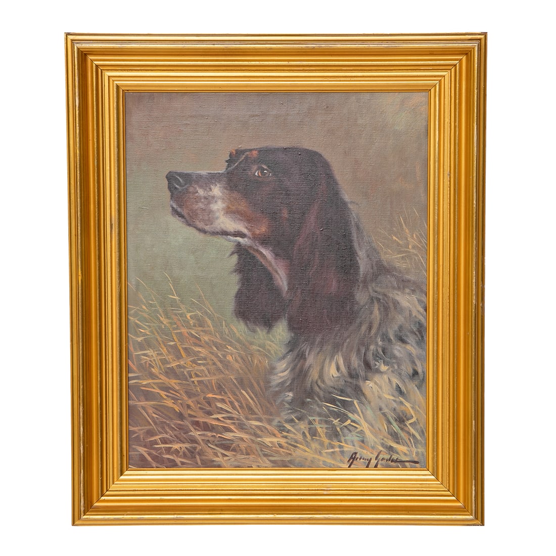English Springer Spaniel Portrait, Oil on Canvas: English Springer Spaniel Portrait, Oil on Canvas, Depicting Head of Springer Spaniel, Signed Lower Right, Housed in Simple Molded Gold Leaf Frame. 25" High, 21" Wide, 2" Deep; Canvas- 20" High, 16" Wi
