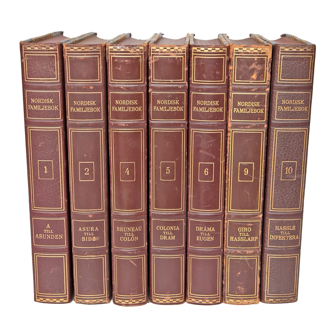 Nordisk Familjebok Encyklopedi Leather Bound Books, Seven Volumes (1 of 5)