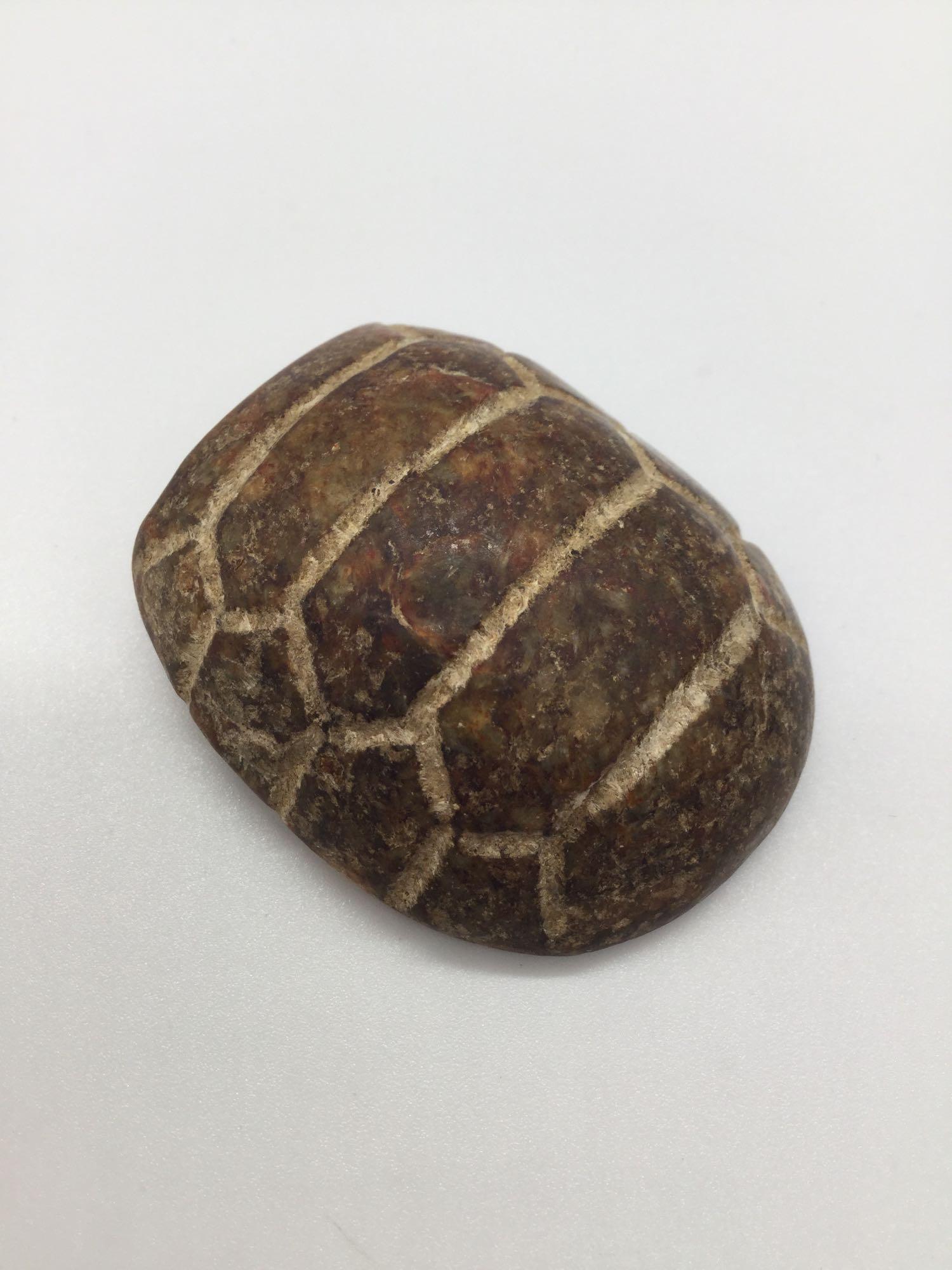 Finely detailed antique turtle shell or carapace carved (1 of 4)