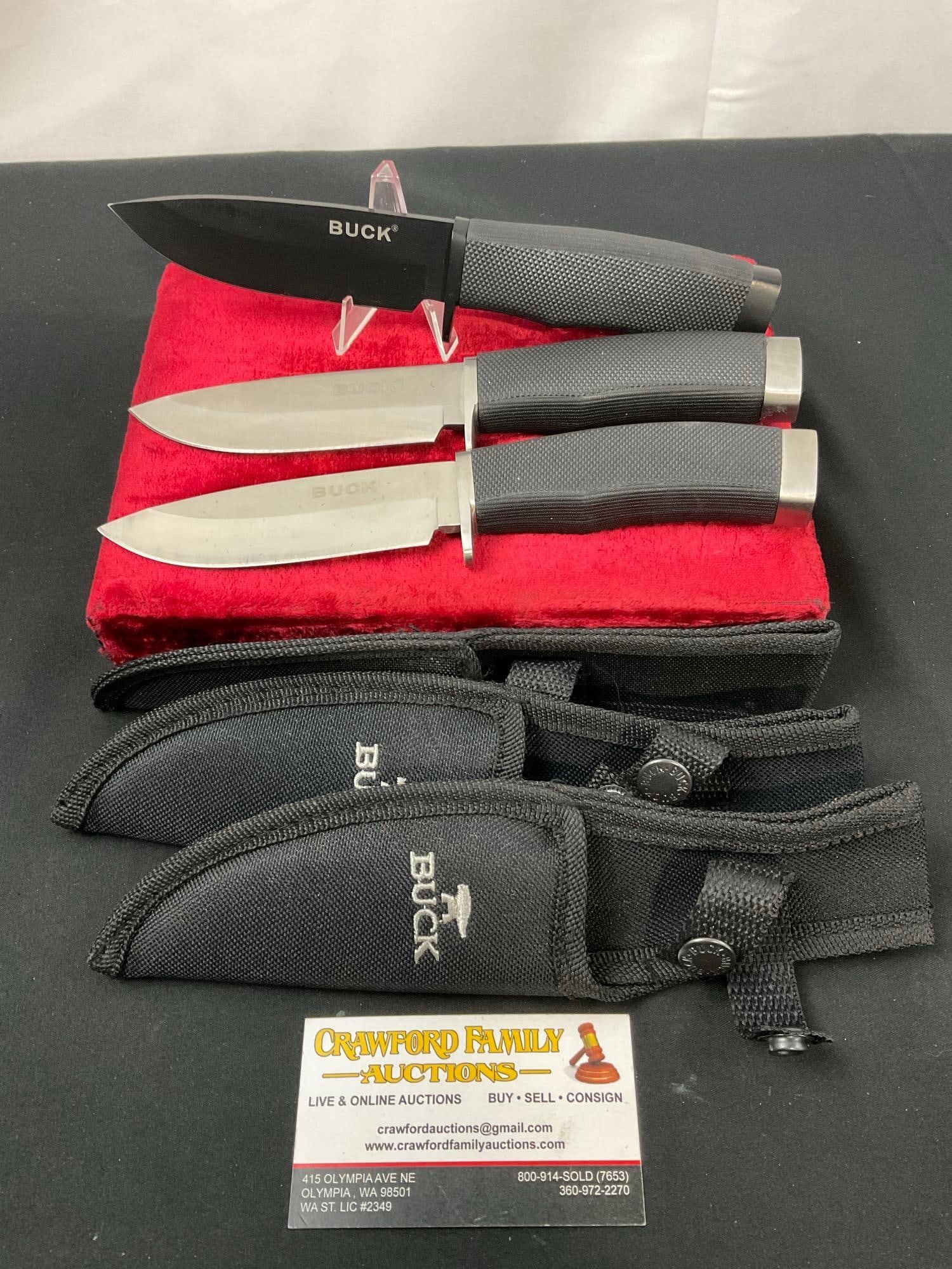 Trio of Classic Buck Fixed Blade Knives, w/ nylon sheaths, 4.5 inch blades (1 of 4)