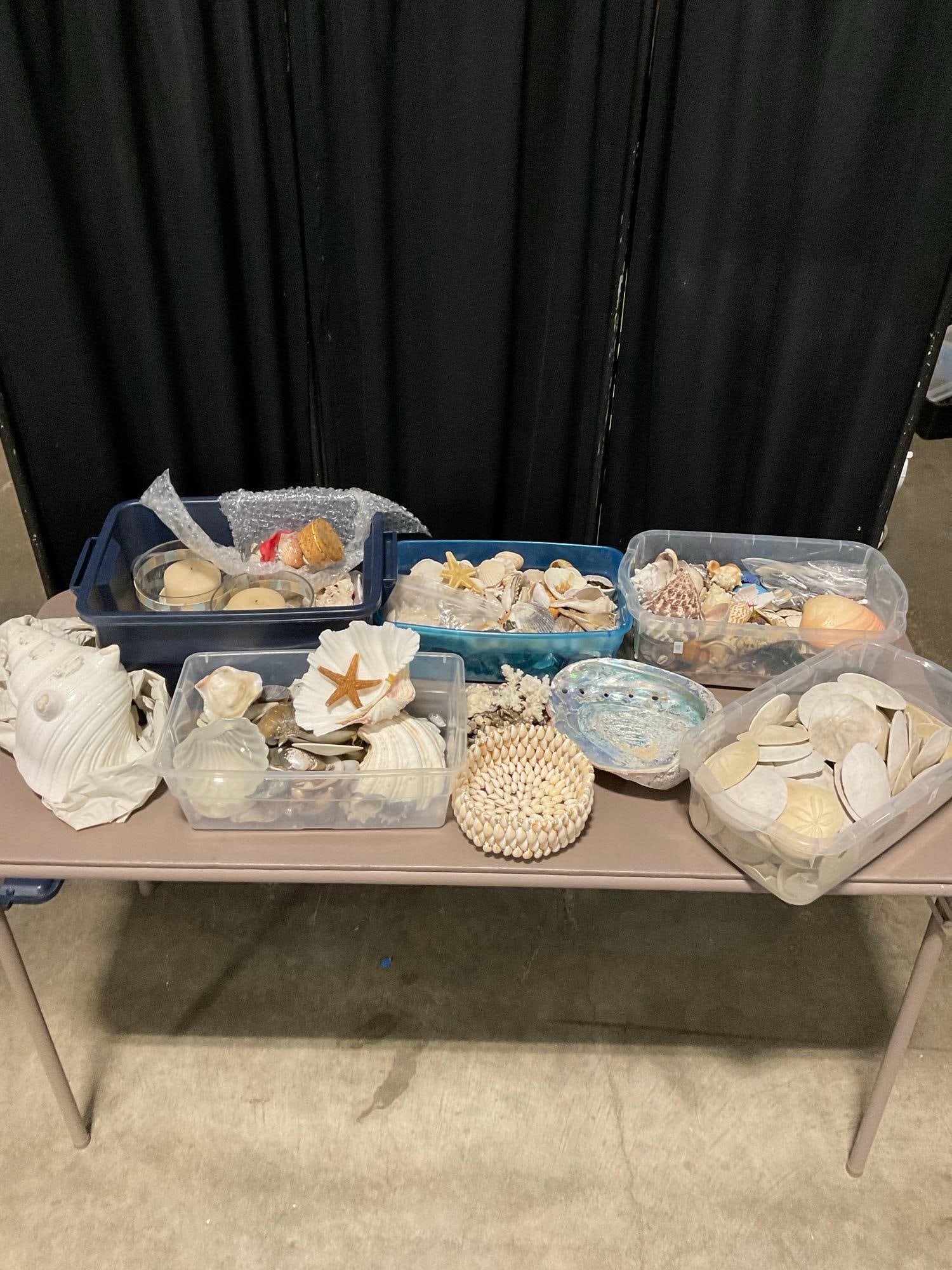 Mass Seashell Lot w/ Conch Shells, Sand dollars, Starfish, & Shell made crafts - See pics (1 of 6)