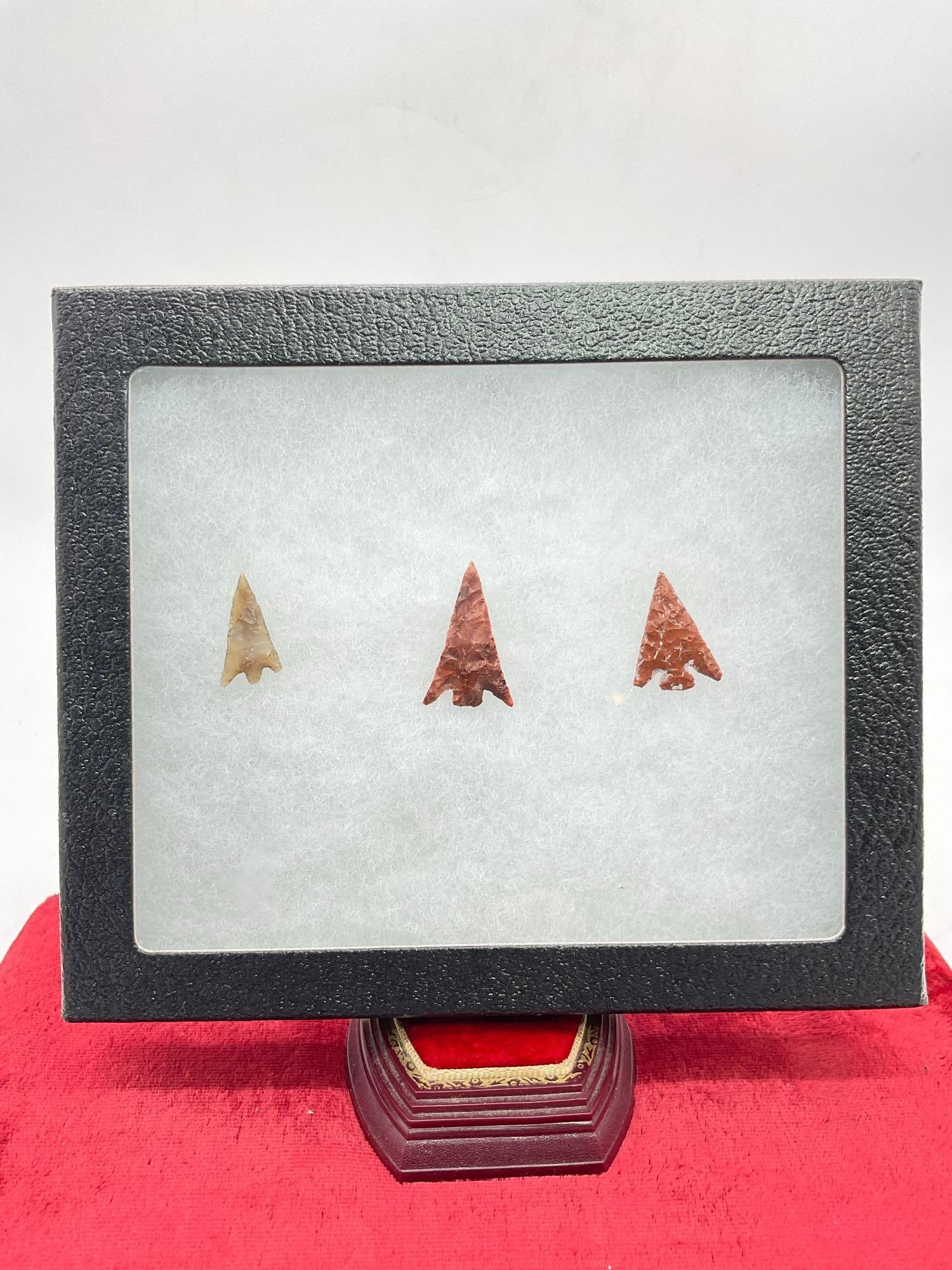 Display case w/ 3 excellent "gem" bird point arrowheads from Columbia Plateau - 2x Jasper, 1 Agate (1 of 4)