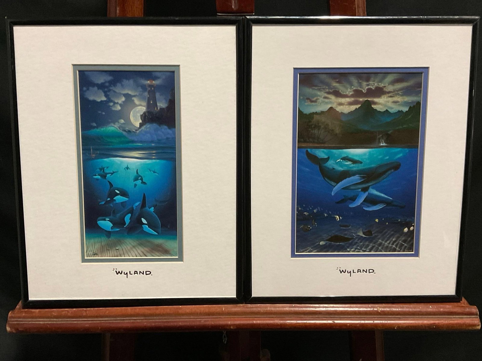 Pair of Framed Wyland Whale Prints, Above & Below, measures approx 11 x 14 inches: Appears to be in good shape, the frames measure approx 11 x 14 inches. See pics. E-2674