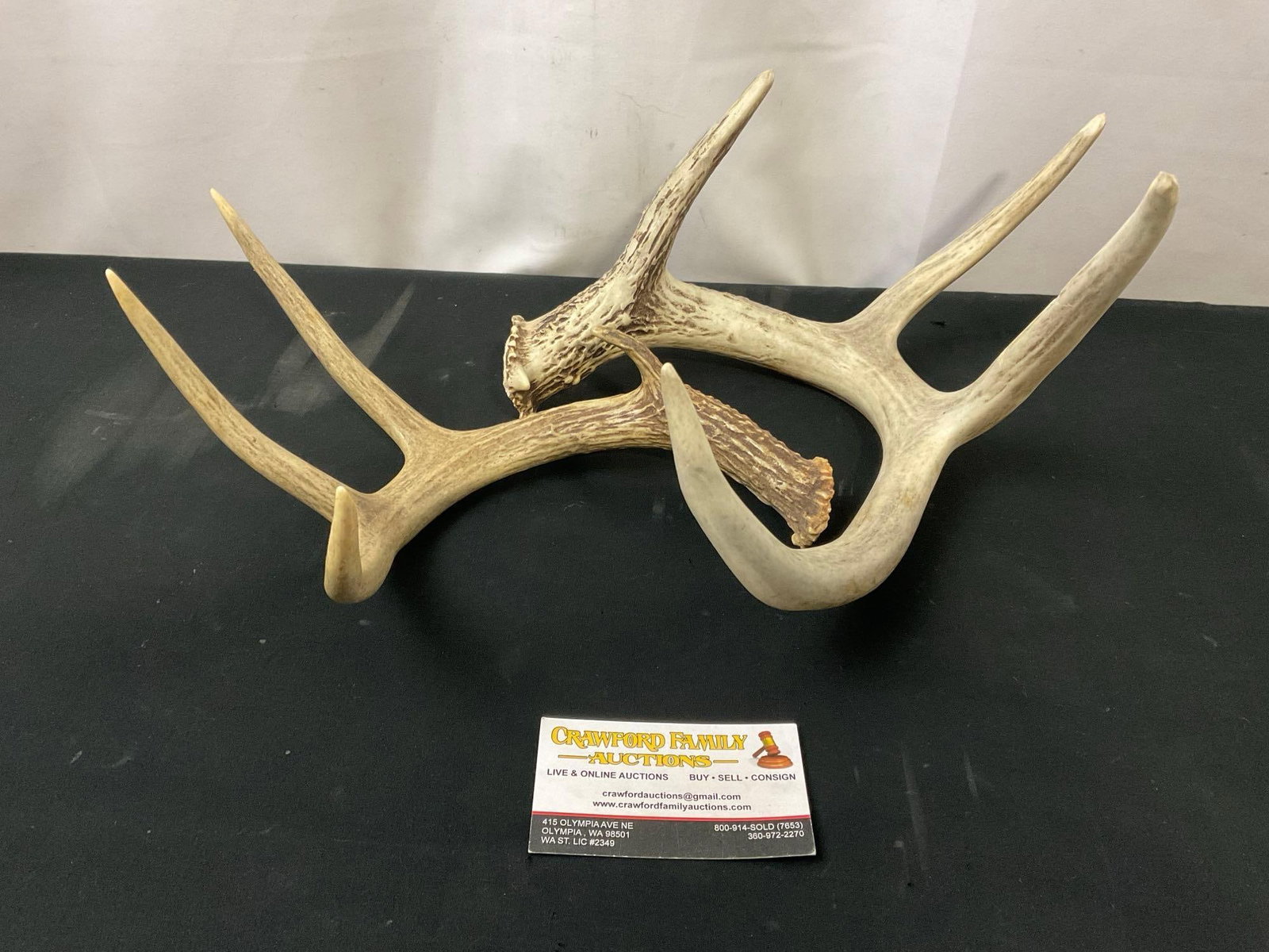 Pair of Whitetail Deer Antlers, natural 8 point antlers (1 of 4)