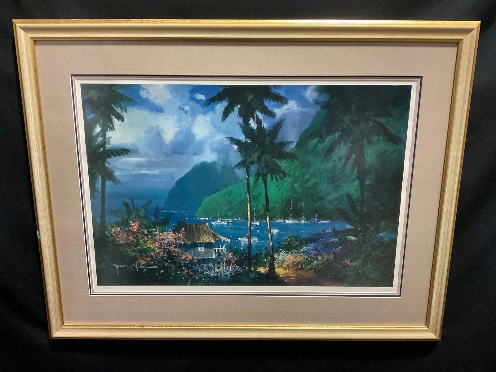 Framed Lithograph Signed & #d 174/250, by artist James Coleman, measures approx 36h x 47w inches (1 of 7)