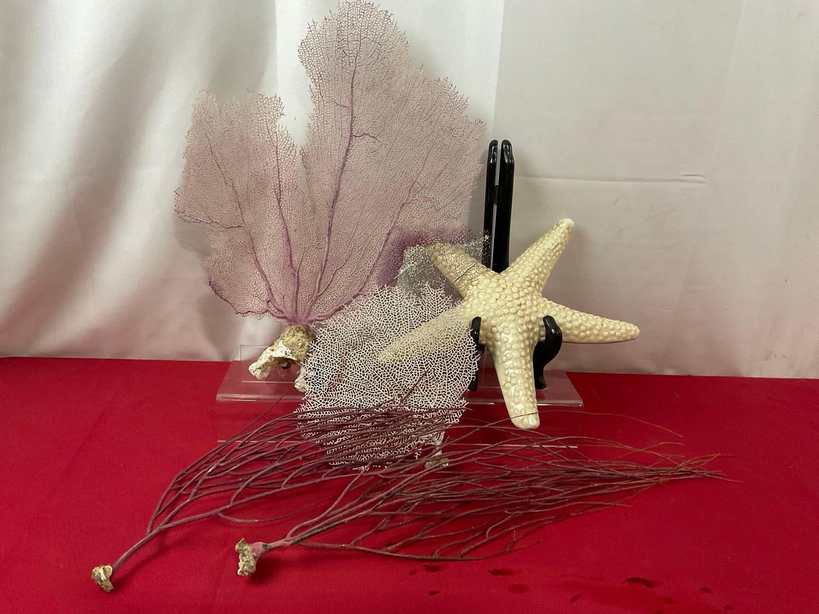 Pairs of Sea Fans, & Sea Whips, Ceramic Starfish piece, 7 inch in diameter: Appears to be in fair to good shape, seems to be real, there is a splotch of discoloration on one of the fans. The starfish piece measures approx 7 inches. See pics. E-3690