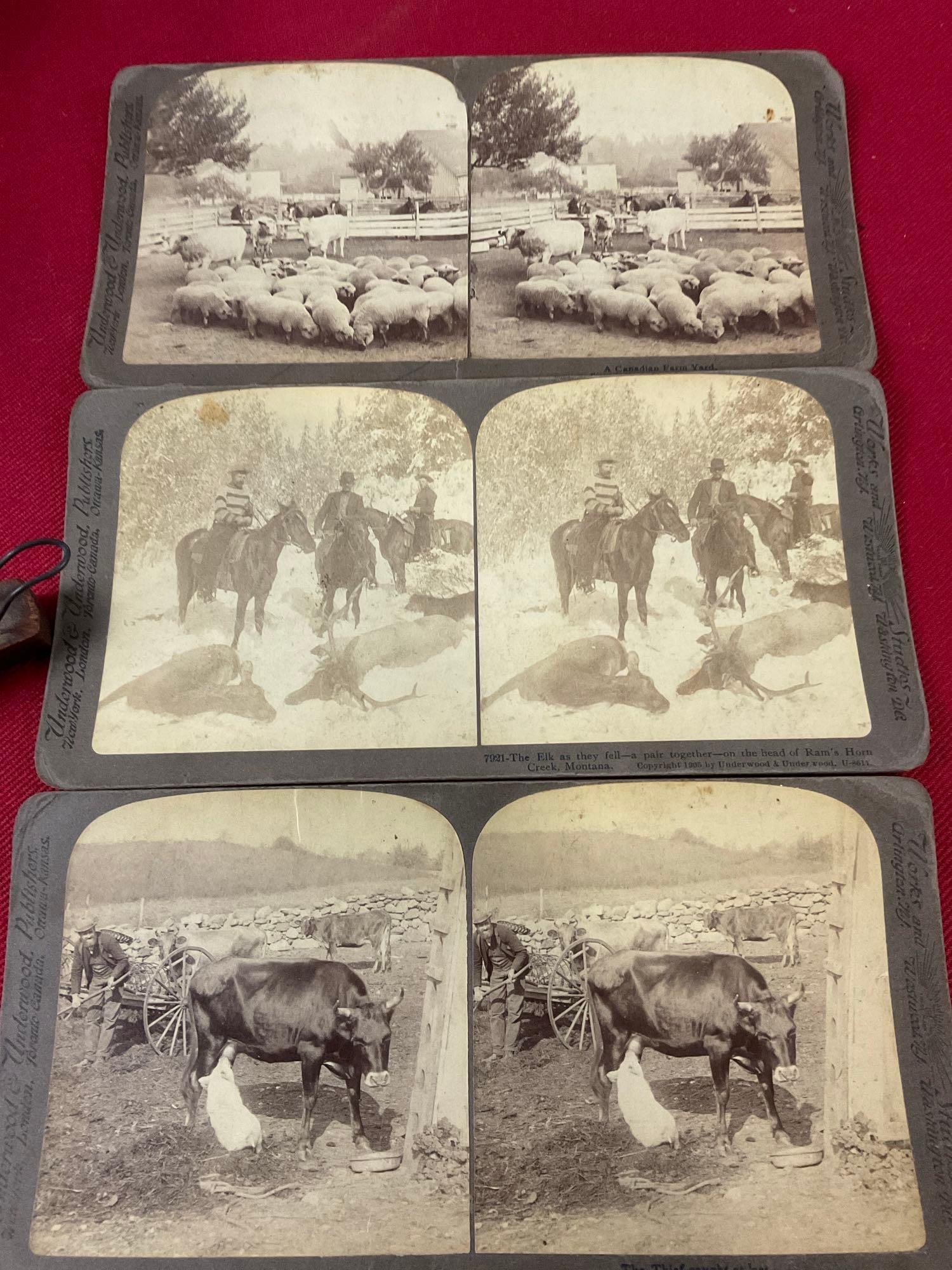 Antique Stereoscope & Set of 12 Stereo Pictures, 1900s Copyright (1 of 8)