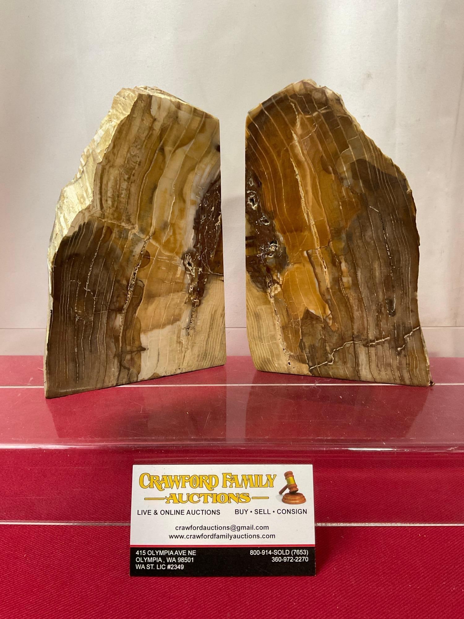 Pair of Petrified Wood Chunk Bookends, almost matching, nice pieces, 7 inches tall (1 of 5)