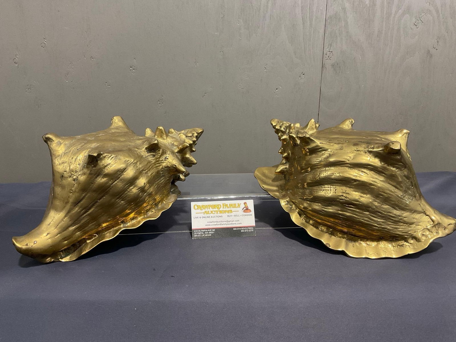 Pair of Mid Century Cast Brass Conch Shells, Large approx 12 inches long (1 of 5)