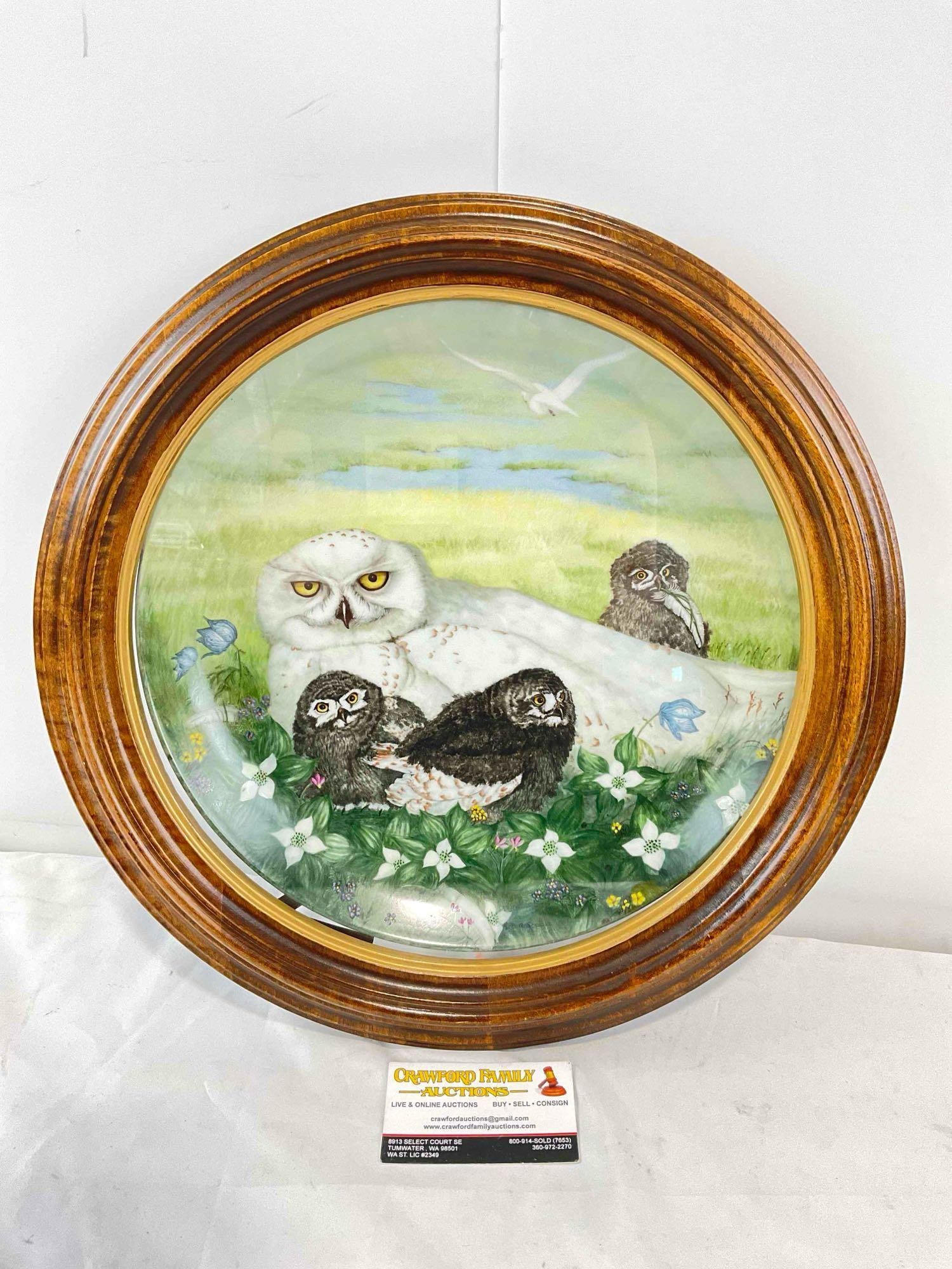 Vintage Framed "Swallow's Hollow" Plate w/ Snowy Owls Signed Gail Sprague. Excellent Cond. (1 of 6)
