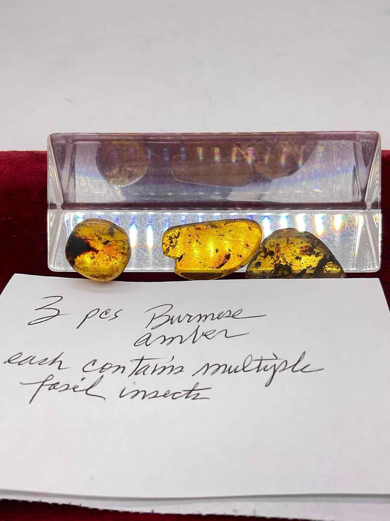 3 very fine pieces of Burmese fossil Amber each containing multiple fossil insects c. 90 MYO: Jc-1554