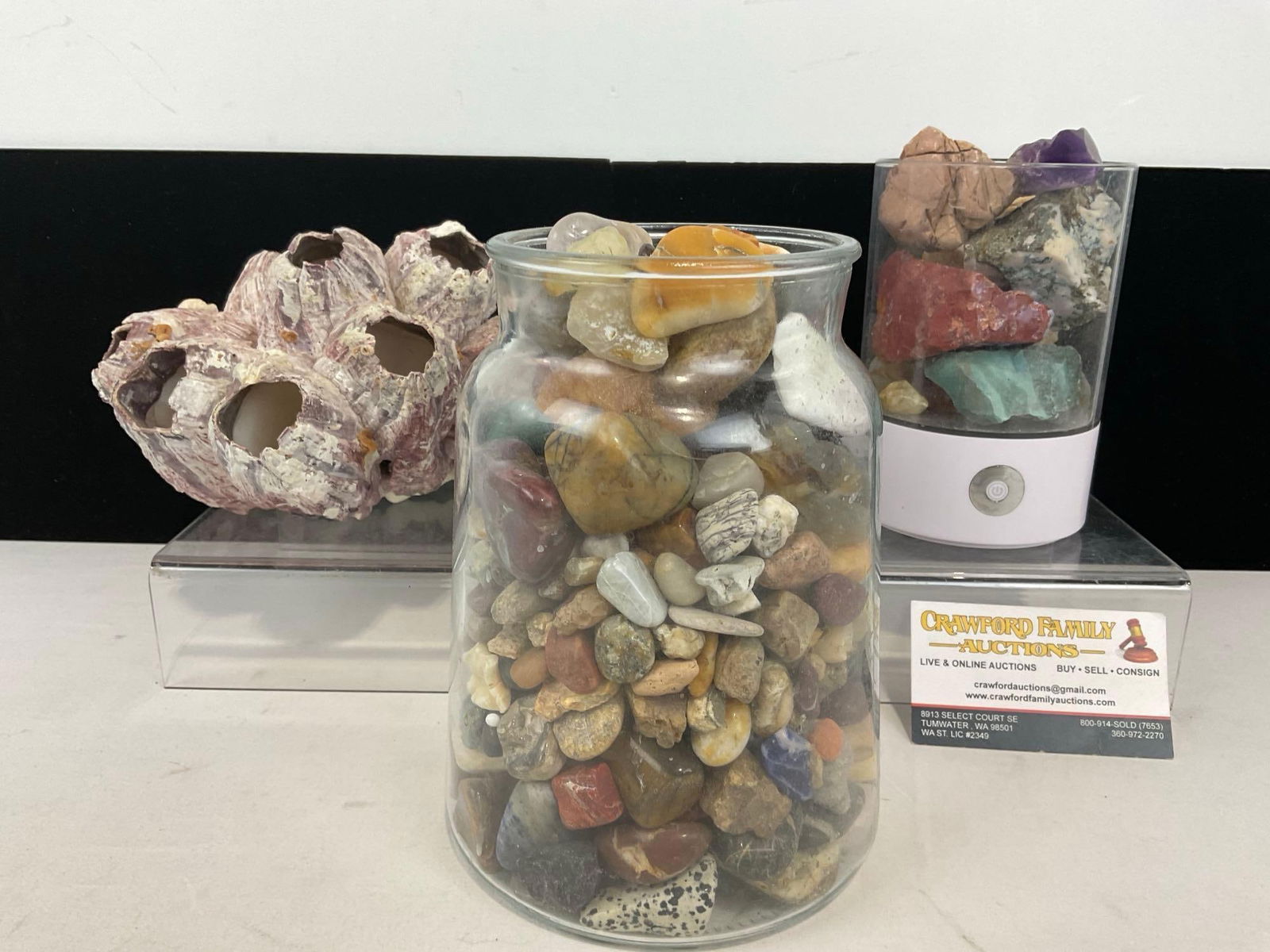 Large Barnacle Cluster, Assortment of Rocks, Agates & Minerals, See pics for variety (1 of 8)