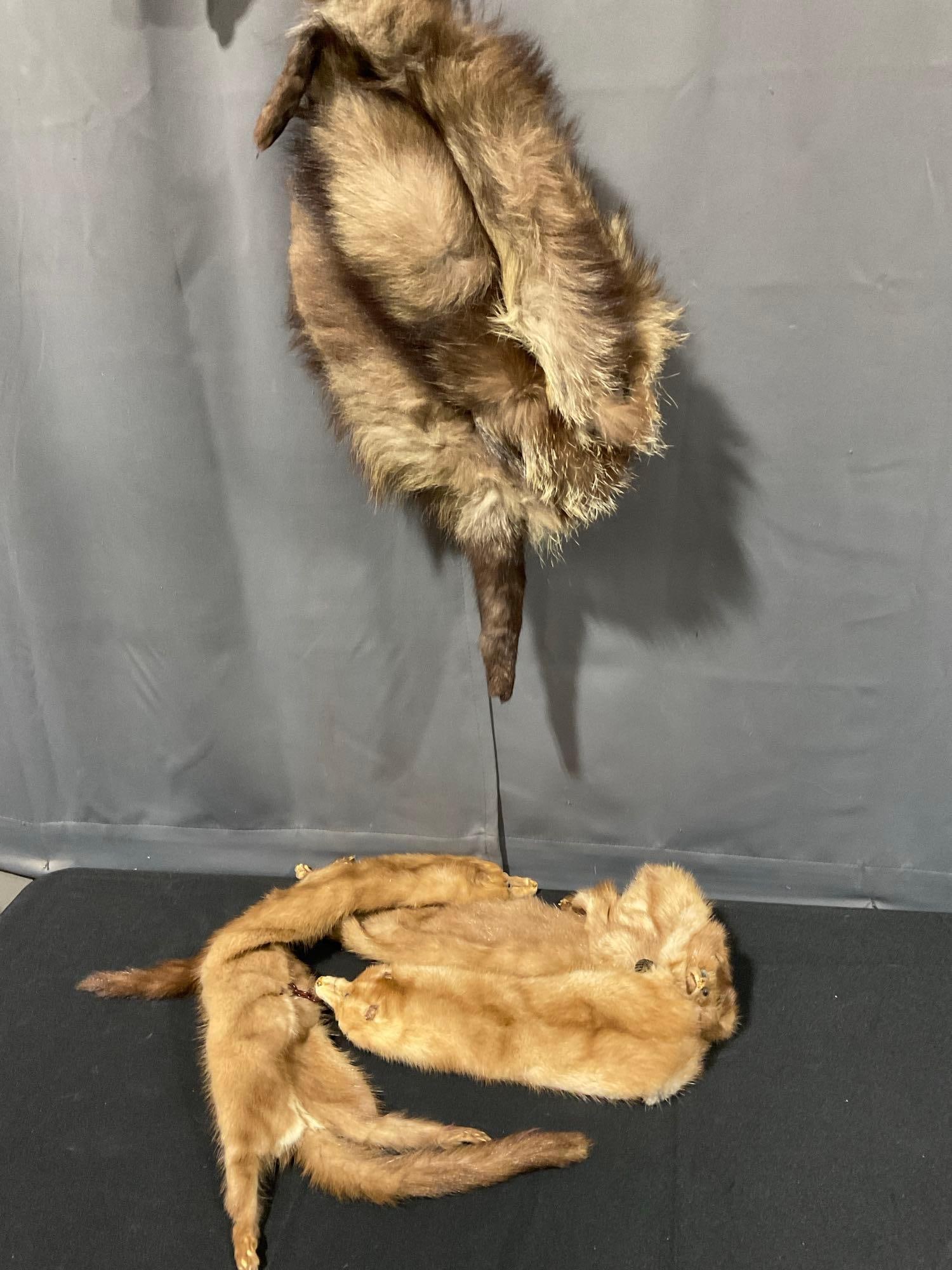 Natural Full Body Mink Stole, & Fox Fur Scarf/Wrap: Appears to be in good shape. The piece measures 8h x 14w x 11d inches. See pics. E-5180