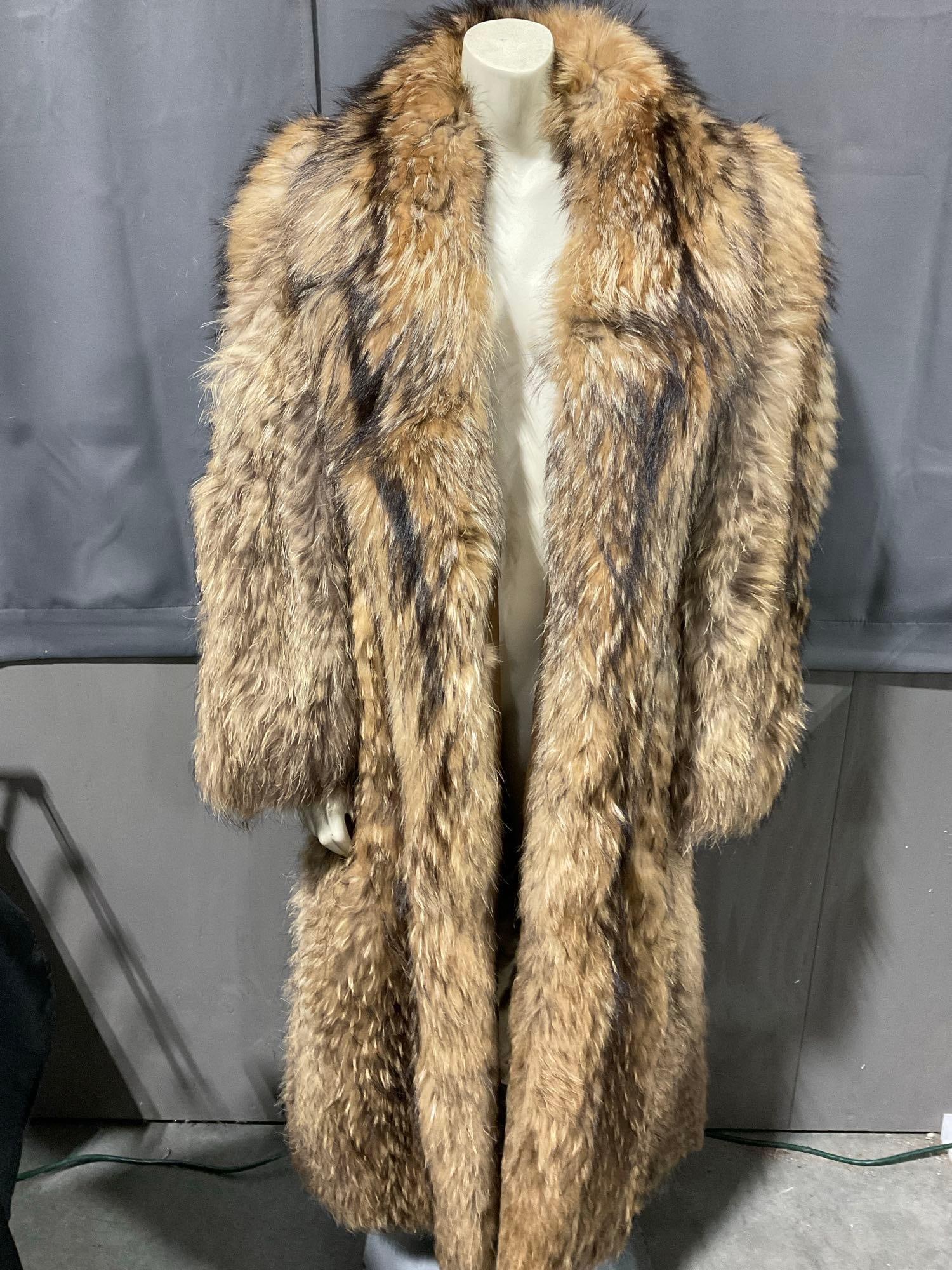 Vintage Scandinavian Fur Company size 12 Natural Raccoon Fur Jacket, Overcoat, 53h x 22w x 8d inc... (1 of 7)