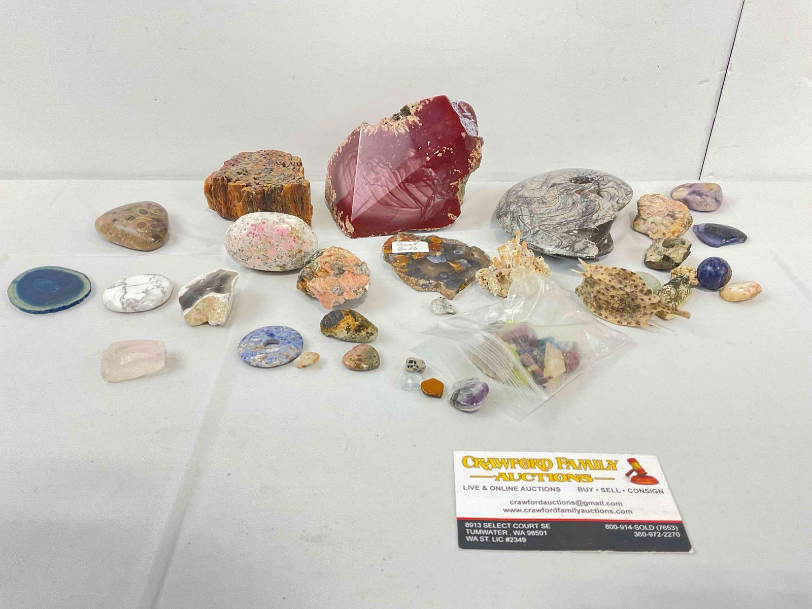 20+ pcs Natural Collectible Assortment, incl. Rocks & Minerals, Fossils & More! See pics. (1 of 9)