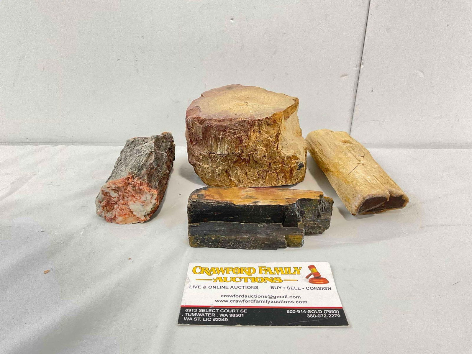 4 pcs Petrified Wood, incl. Fossilized Tree Branch Segment. Very Good Condition. See pics. (1 of 6)