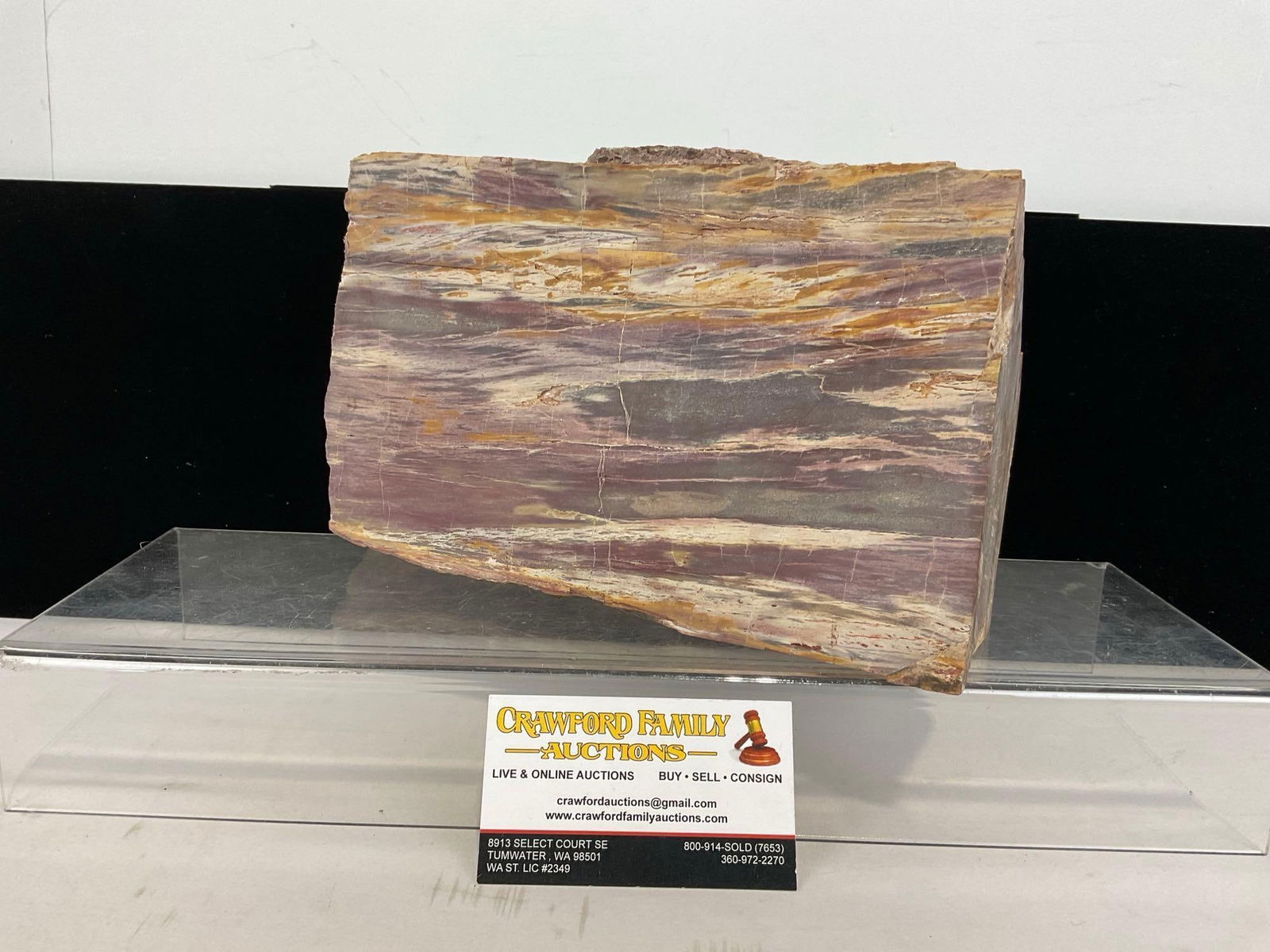 Lovely Petrified Wood Chunk, 10x7x4 inches, w/ Purple striations: Appears to be in good shape. The piece measures approx 10h x 7w x 4d inches. See pics. E-5320 