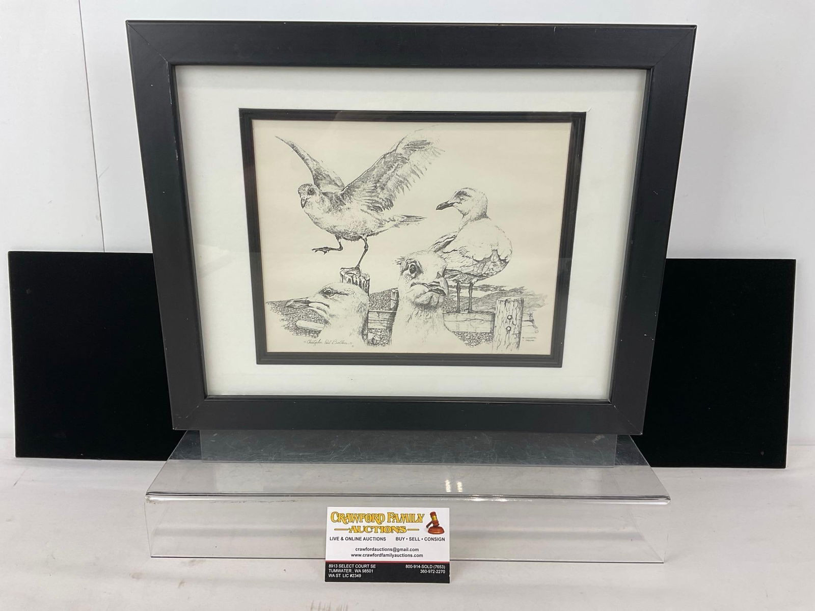 Framed Signed Pen Drawing, Pair of Seagulls, by Christopher Paul Bollen, 14h x 17w x 3d inches (1 of 7)