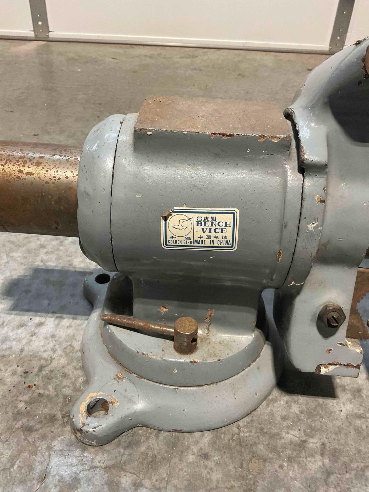 Golden Bird Bench Vice 360 Swivel and Rotation with Pipe Clamp Jaws - 3