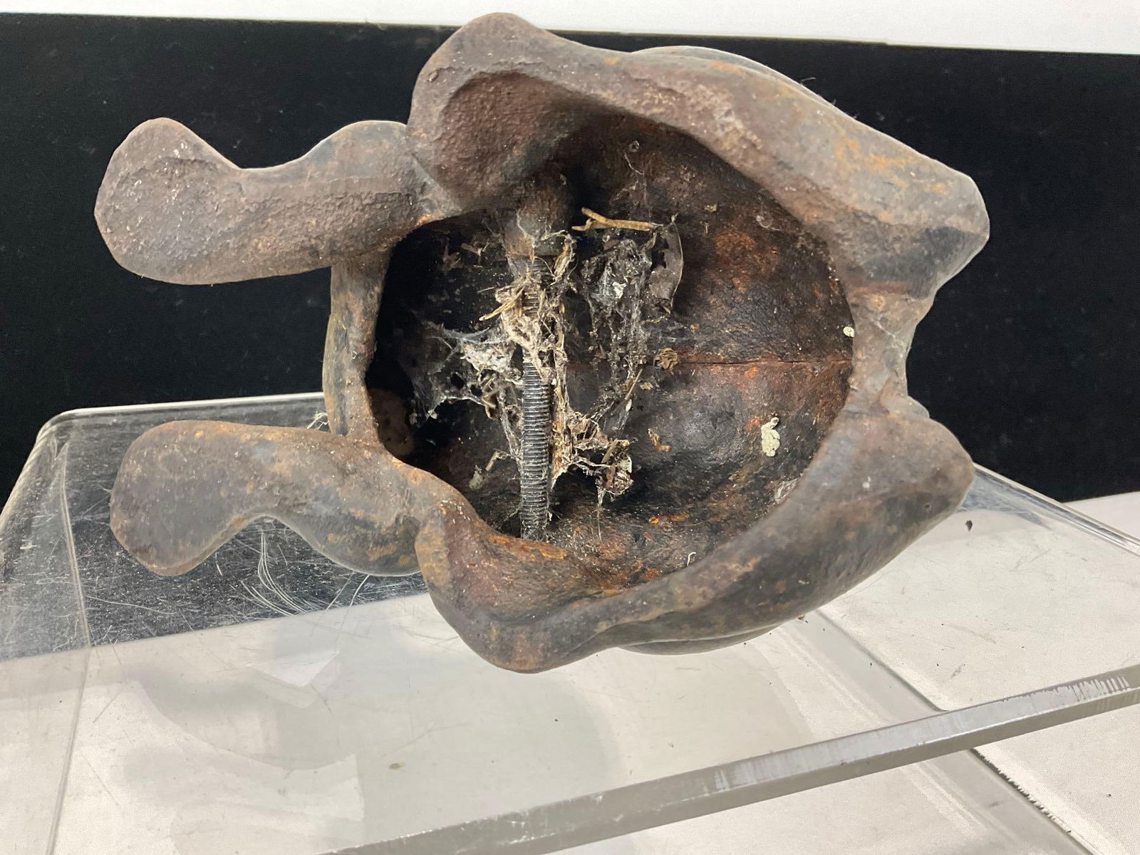 Lovely Cast Iron Frog Figure, 5h x 6w x 5d inches - 4