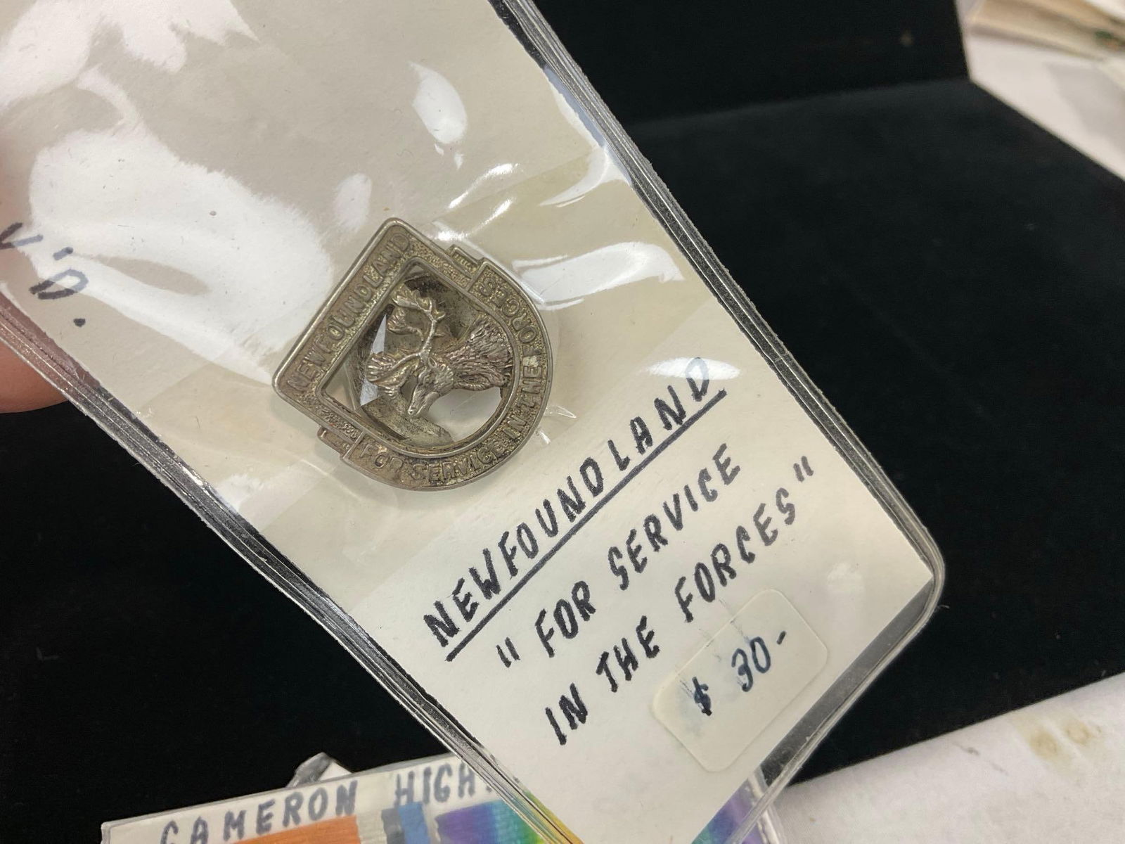 Canadian Para Rescue Pin & Wing, NWL Armed Forced Pin, Pair of Medals, British War & Victory WW1 - 4