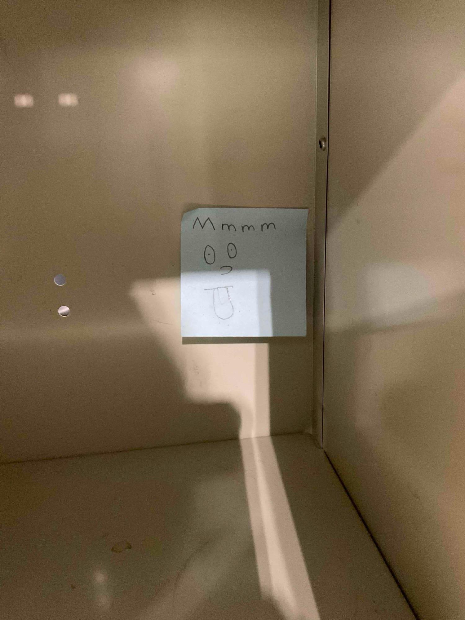 Vintage Grey Metal Lockers w/ 10 Cubbies. 1 Lock & 1 Key. Good Condition. Stands 66" Tall. - 4